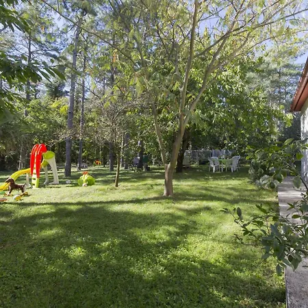 Lägenhet Studio In Plomin/istrien 8882